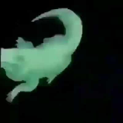 Spinnnnn