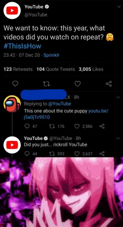 Cute puppy go roll roll
