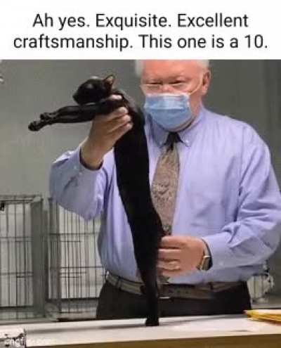 Rule