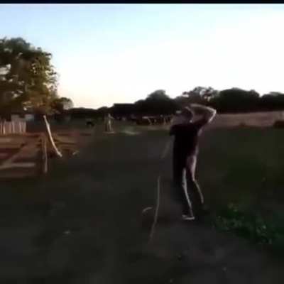me: trying to catch cow! cow : gotcha!