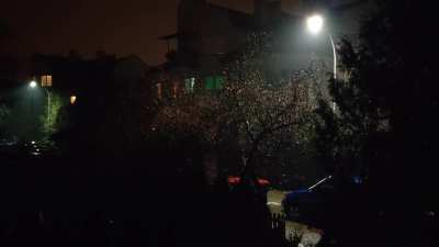 Afternoon rain - Poland, Warsaw outskirts