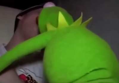 Gay frog