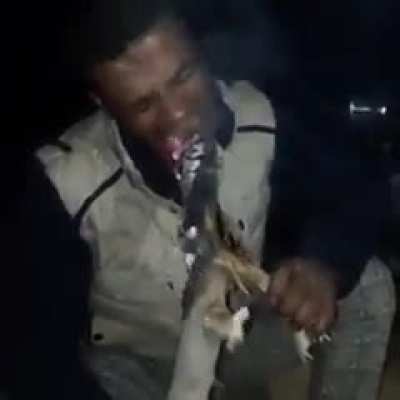 Cursed_hunger