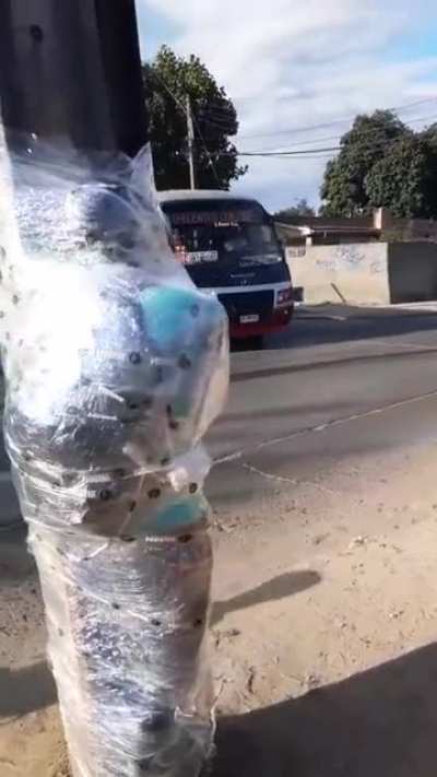 Muy normal