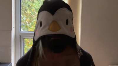 PINGU has arrived!