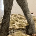 Flare pants > All