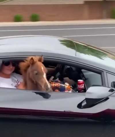 This Lambo’s Got Some Serious Horsepower