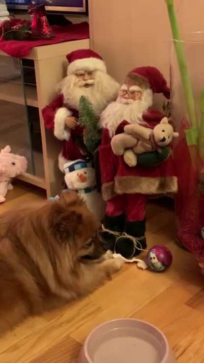 Politely asking the santas to play ball