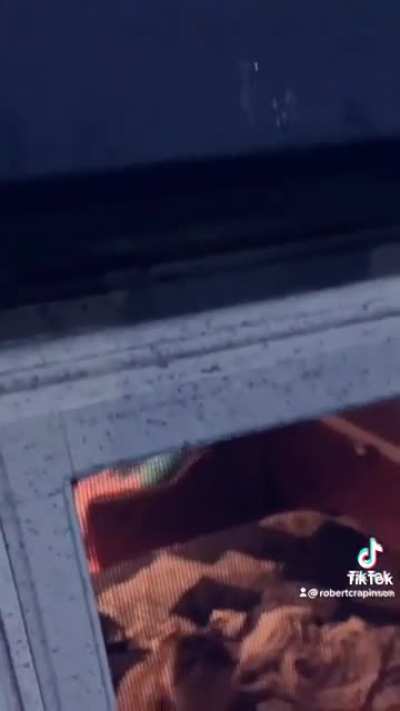 Hit and run