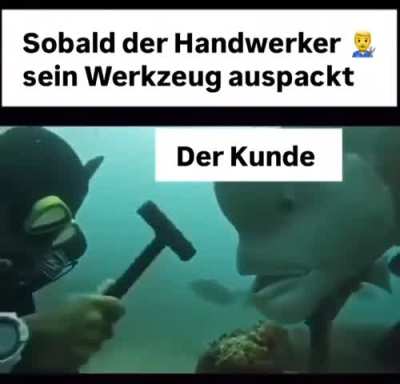 Wer fühlt es?