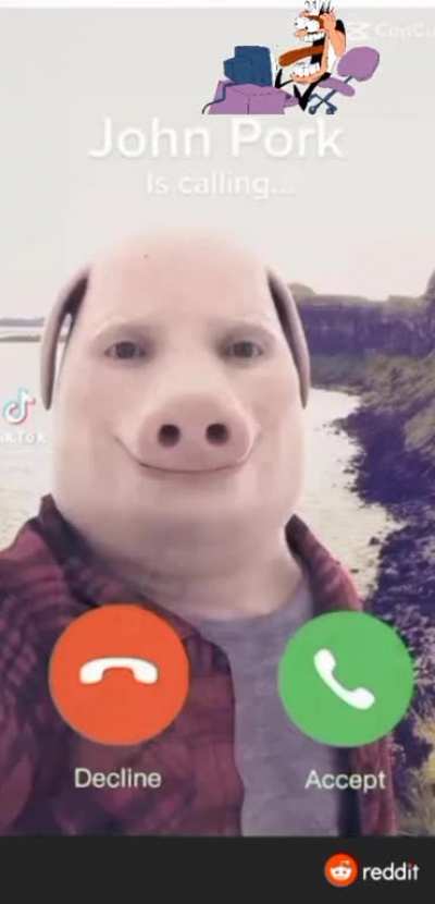 Pig city