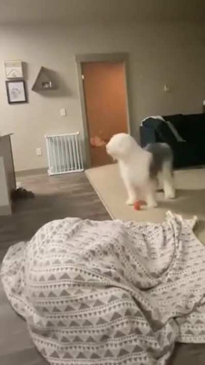 Hide and seek?