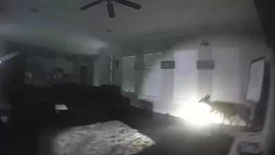 Cops find an interesting intruder