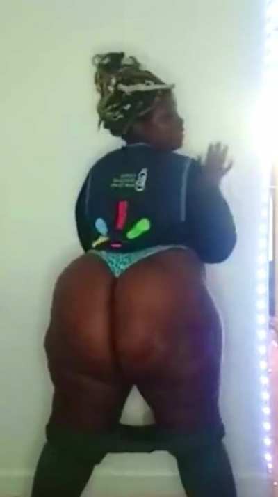 wally world 4