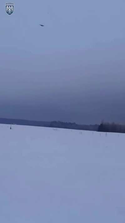 Ukrainian mobile fire team of the 39th tactical aviation brigade downed a Russian Shahed. Published 28.01.2026
