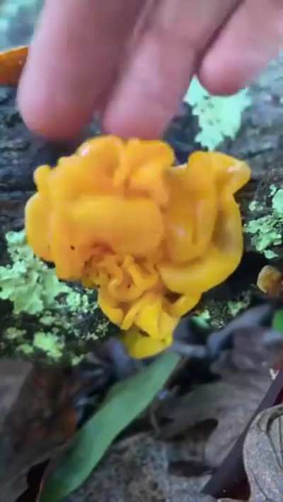 You like that? You dirty fungus.