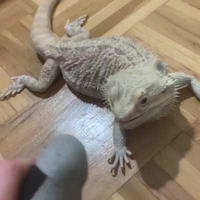 “Don’t eat me”