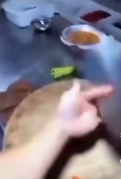 V1 chopping a carrot