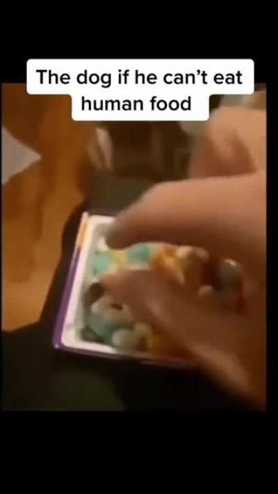 he likes jellybeans