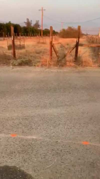 Wait till the end, Lawyer needed?