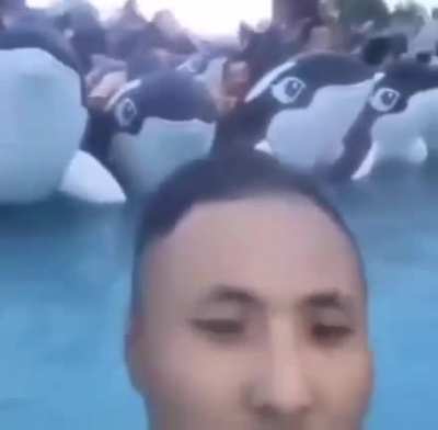 Glub glub afogado