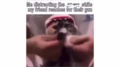 We blast em