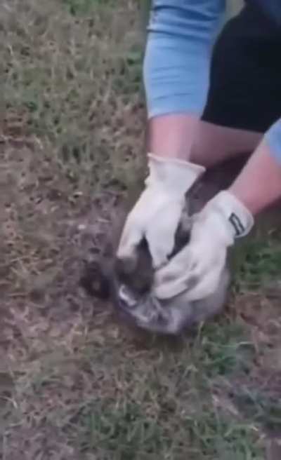 Little guy
