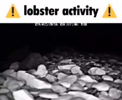 ❗