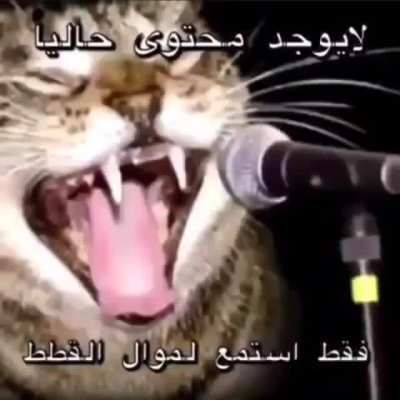Arab cat (epic halal) 😟😟😟😘😘<wbr>🇸🇾🇸🇾😍<wbr>😍😍😒