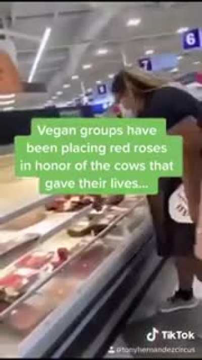 cows with roses