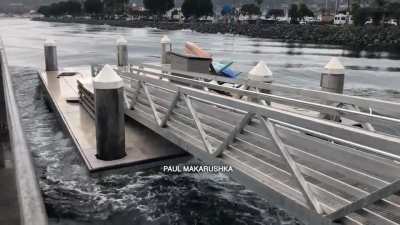 Swells and rebound wake from The Tsunami swells came at 8:31 am and the rebound (dock reax) was at 8:35. location Shelter Island Pier