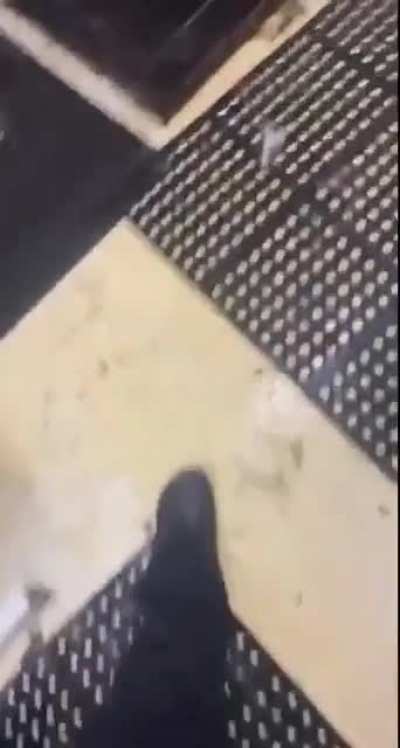 MonkaW