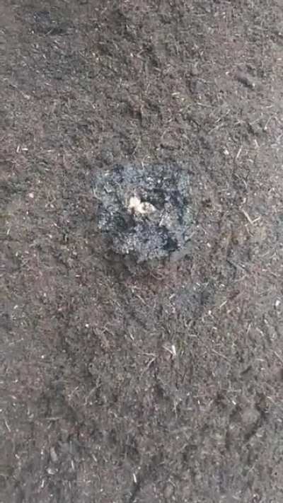 Rare footage from the field in which i grow my fucks