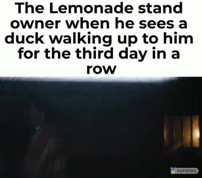 Waddle waddle