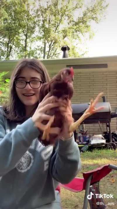 Chicken head stabilisation 🐔