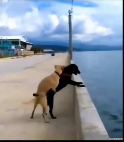 Krizi fırsata çevirmek