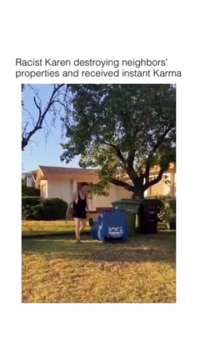 Racist Karen destroying neighbors’ properties