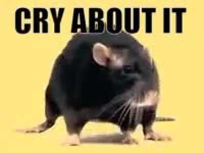 You heard the rat