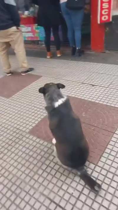 El verdadero 