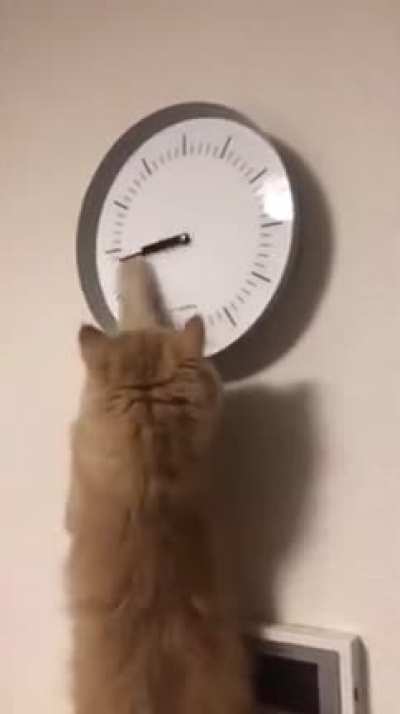 Time keeper
