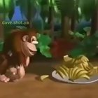 Armadilha simples pra pegar seu amiguinho pardo