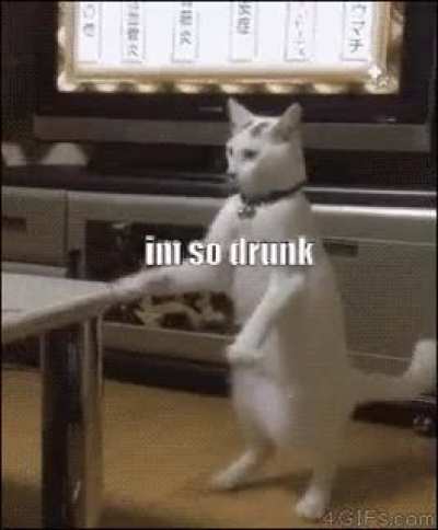 White girls at the bar