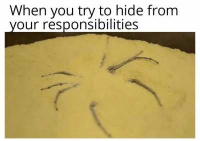 I think they can still see me