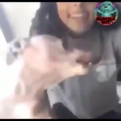 🐶