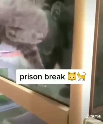 Thought of y’all when I saw this