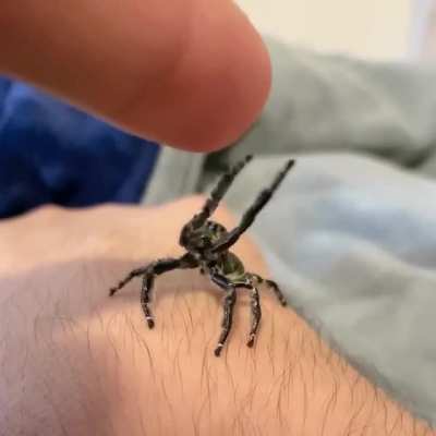 🔥 This adorable jumper.