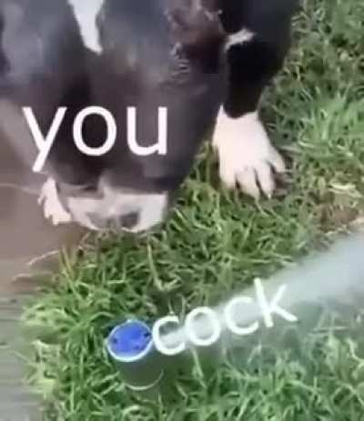 Hmmm...