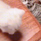 super cat