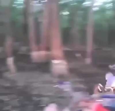 The rider or the storm