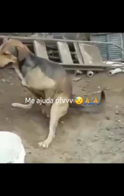 Ajudem ele 😔🙏